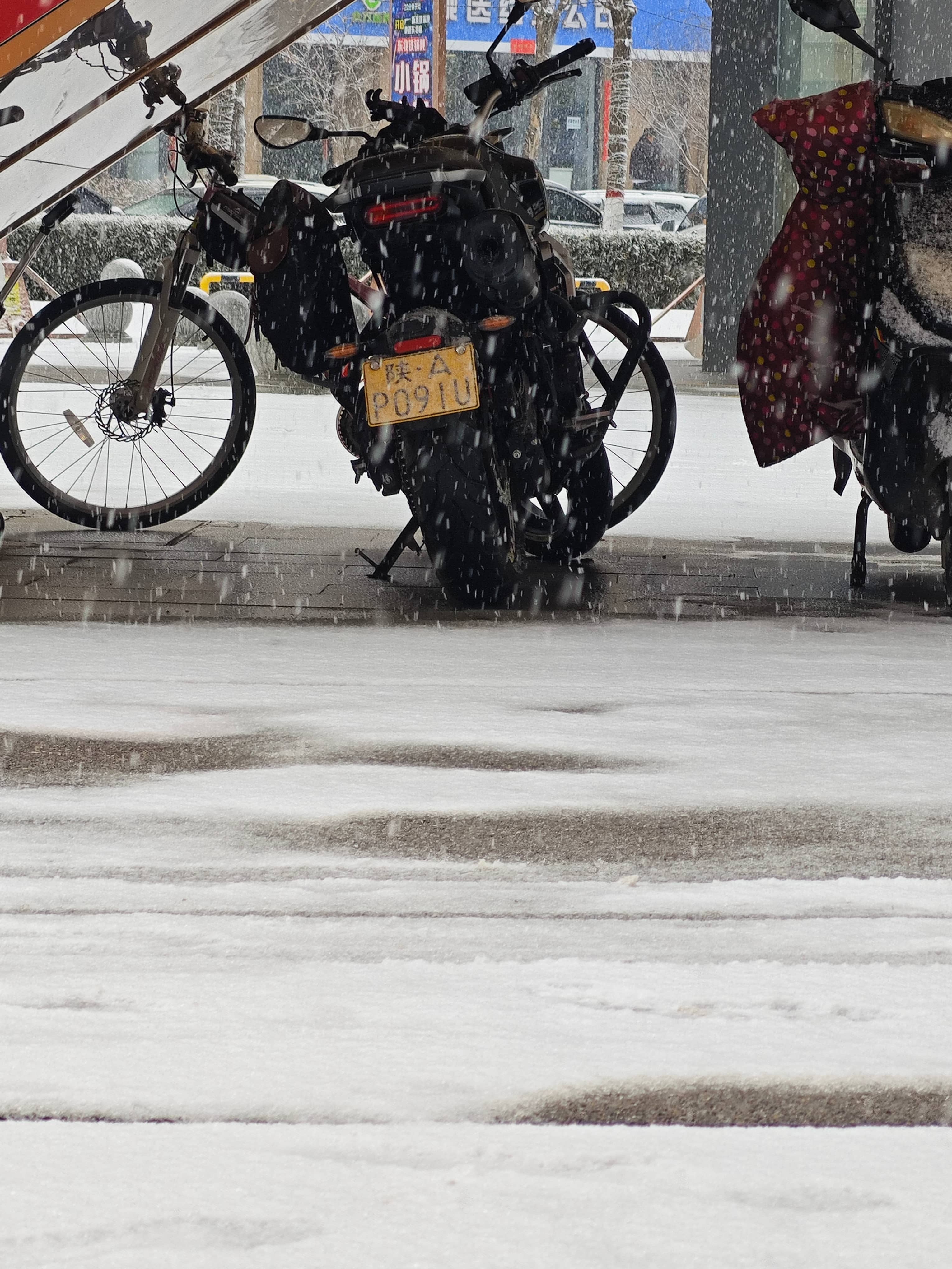 和它在一起的第一场雪